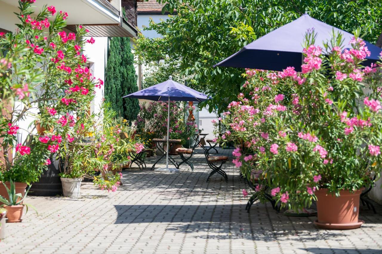 Hotel Gaestehaus Elfriede à Mörbisch am See Extérieur photo